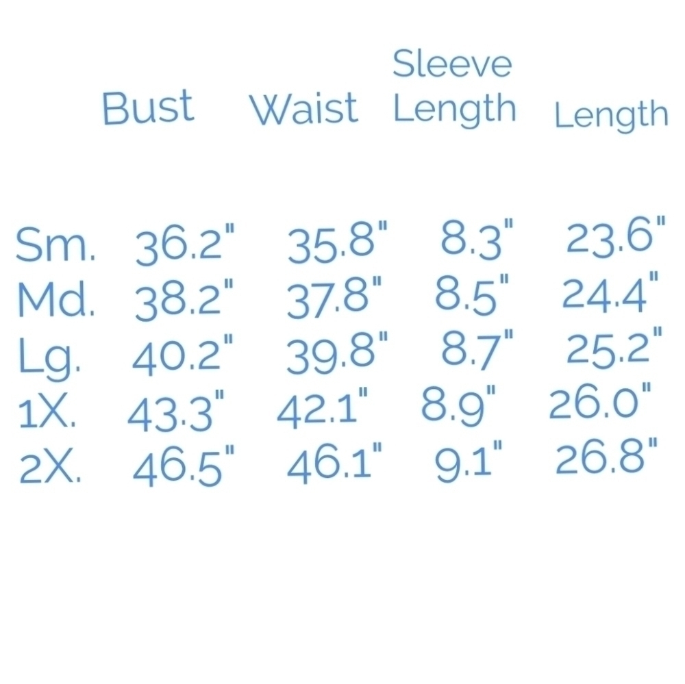 ANGEL Wings Gypsy Grey Lace Sleeve V Neck Tee NWT - Picture 10 of 10